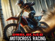 Unblocked Motocross Racing Game Online